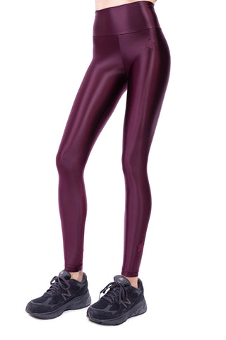Eclipse Leggings in Silk Lycra